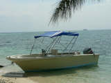 Dive Boat